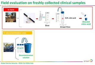 Rapid, on site, diagnosis of FMD and safe and cost-effective shipment ...