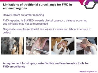 The application of pooled milk for foot-and-mouth disease surveillance ...