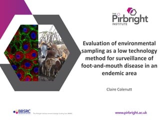 Claire Colenutt
Evaluation of environmental
sampling as a low technology
method for surveillance of
foot-and-mouth disease in an
endemic area
 