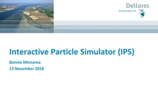 Interactive Particle Simulator (IPS)
Bennie Minnema
13 November 2018
 