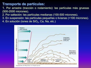 Transporte de partículas:
1. Por arrastre (tracción o rodamiento): las partículas más gruesas
(500-2000 micrones).
2. Por saltación: las partículas medianas (100-500 micrones).
3. En suspensión: las partículas pequeñas o livianas (<100 micrones).
4. En solución (iones de SiO2, Ca, Na, etc.)
 