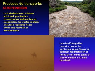 La turbulencia es un factor
adicional que tiende a
conservar los sedimentos en
suspensión, los cuales reciben
impulsos repetidos hacia
arriba que retardan su
asentamiento.
Procesos de transporte:
SUSPENSIÓN
Las dos Fotografías
muestran como las
partículas pequeñas no se
asientan fácilmente en el
fondo de un fluido (agua ó
viento) debido a su baja
densidad.
 