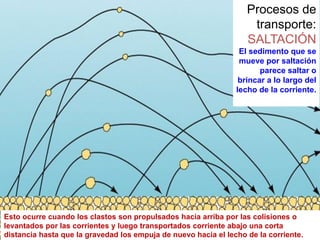 Procesos de
transporte:
SALTACIÓN
El sedimento que se
mueve por saltación
parece saltar o
brincar a lo largo del
lecho de la corriente.
Esto ocurre cuando los clastos son propulsados hacia arriba por las colisiones o
levantados por las corrientes y luego transportados corriente abajo una corta
distancia hasta que la gravedad los empuja de nuevo hacia el lecho de la corriente.
 