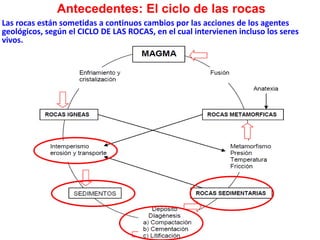 Las rocas están sometidas a continuos cambios por las acciones de los agentes
geológicos, según el CICLO DE LAS ROCAS, en el cual intervienen incluso los seres
vivos.
Antecedentes: El ciclo de las rocas
 