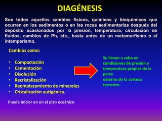DIAGÉNESIS
Son todos aquellos cambios físicos, químicos y bioquímicos que
ocurren en los sedimentos o en las rocas sedimentarias después del
depósito ocasionados por la presión, temperatura, circulación de
fluidos, cambios de Ph, etc., hasta antes de un metamorfismo o el
intemperismo.
Cambios como:
• Compactación
• Cementación
• Disolución
• Recristalización
• Reemplazamiento de minerales
• Cristalización autigénica.
Se llevan a cabo en
condiciones de presión y
temperatura propias de la
parte
externa de la corteza
terrestre.
Puede iniciar en en el piso oceánico
 