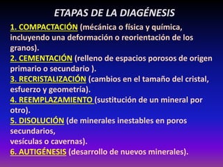 ETAPAS DE LA DIAGÉNESIS
1. COMPACTACIÓN (mécánica o física y química,
incluyendo una deformación o reorientación de los
granos).
2. CEMENTACIÓN (relleno de espacios porosos de origen
primario o secundario ).
3. RECRISTALIZACIÓN (cambios en el tamaño del cristal,
esfuerzo y geometría).
4. REEMPLAZAMIENTO (sustitución de un mineral por
otro).
5. DISOLUCIÓN (de minerales inestables en poros
secundarios,
vesículas o cavernas).
6. AUTIGÉNESIS (desarrollo de nuevos minerales).
 