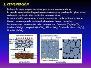 2. CEMENTACIÓN
• Relleno de espacios porosos de origen primario o secundario.
• Es uno de los cambios diagenéticos más comunes y produce la rigidez de un
sedimento, uniendo a las partículas unas con otras.
• La cementación puede ocurrir simultáneamente con la sedimentación, o
bien el cemento puede ser introducido en un tiempo posterior.
• Los materiales cementantes más comunes son: Dolomita (Ca/Mg)CO3,
Calcita (CaCO3), o aragonita (CaCO3), Sílice (SiO2), Óxidos de hierro (Fe2O3),
Siderita (FeCO3).
 