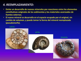 4. REEMPLAZAMIENTO:
• Existe un desarrollo de nuevos minerales por reacciones entre los elementos
constitutivos originales de los sedimentos y los materiales acarreados de
fuentes externas.
• El nuevo mineral se desarrolla en el espacio ocupado por el original, sin
cambio de volumen, y puede tomar la forma del mineral reemplazado
(pseudomorfo).
calcita
pirita
limonita
 