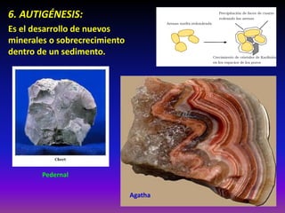 6. AUTIGÉNESIS:
Es el desarrollo de nuevos
minerales o sobrecrecimiento
dentro de un sedimento.
Pedernal
Agatha
 
