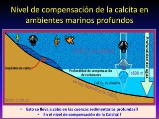 Nivel de compensación de la calcita en
ambientes marinos profundos
• Esto se lleva a cabo en las cuencas sedimentarias profundas!!
• En el nivel de compensación de la Calcita!!
 