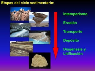 Etapas del ciclo sedimentario:
Intemperismo
Erosión
Transporte
Depósito
Diagénesis y
Litificación
 