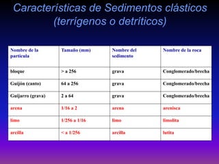 Características de Sedimentos clásticos
(terrígenos o detríticos)
Nombre de la
partícula
Tamaño (mm) Nombre del
sedimento
Nombre de la roca
bloque > a 256 grava Conglomerado/brecha
Guijón (canto) 64 a 256 grava Conglomerado/brecha
Guijarro (grava) 2 a 64 grava Conglomerado/brecha
arena 1/16 a 2 arena arenisca
limo 1/256 a 1/16 limo limolita
arcilla < a 1/256 arcilla lutita
 