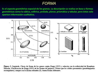 FORMA
Es el aspecto geométrico espacial de los granos. La descripción se realiza en base a formas
geométricas como la cúbica, esférica, prolada, planar, prismática y tabular, pero éstas solo
aportan información cualitativa.
 