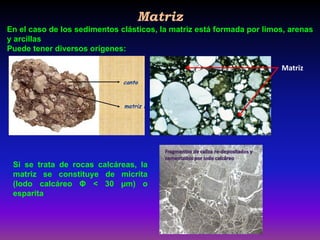 Matriz
En el caso de los sedimentos clásticos, la matriz está formada por limos, arenas
y arcillas
Puede tener diversos orígenes:
Matriz
Si se trata de rocas calcáreas, la
matriz se constituye de micrita
(lodo calcáreo Φ < 30 µm) o
esparita
 