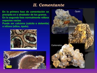 II. Cementante
Micrita
En la primera fase de cementación se
precipita en o alrededor de los granos.
En la segunda fase normalmente rellena
espacios vacíos
Puede ser calcáreo (calcita o dolomita)
o silíceo (sílice, ópalo).
 