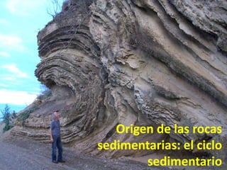 Origen de las rocas
sedimentarias: el ciclo
sedimentario
 