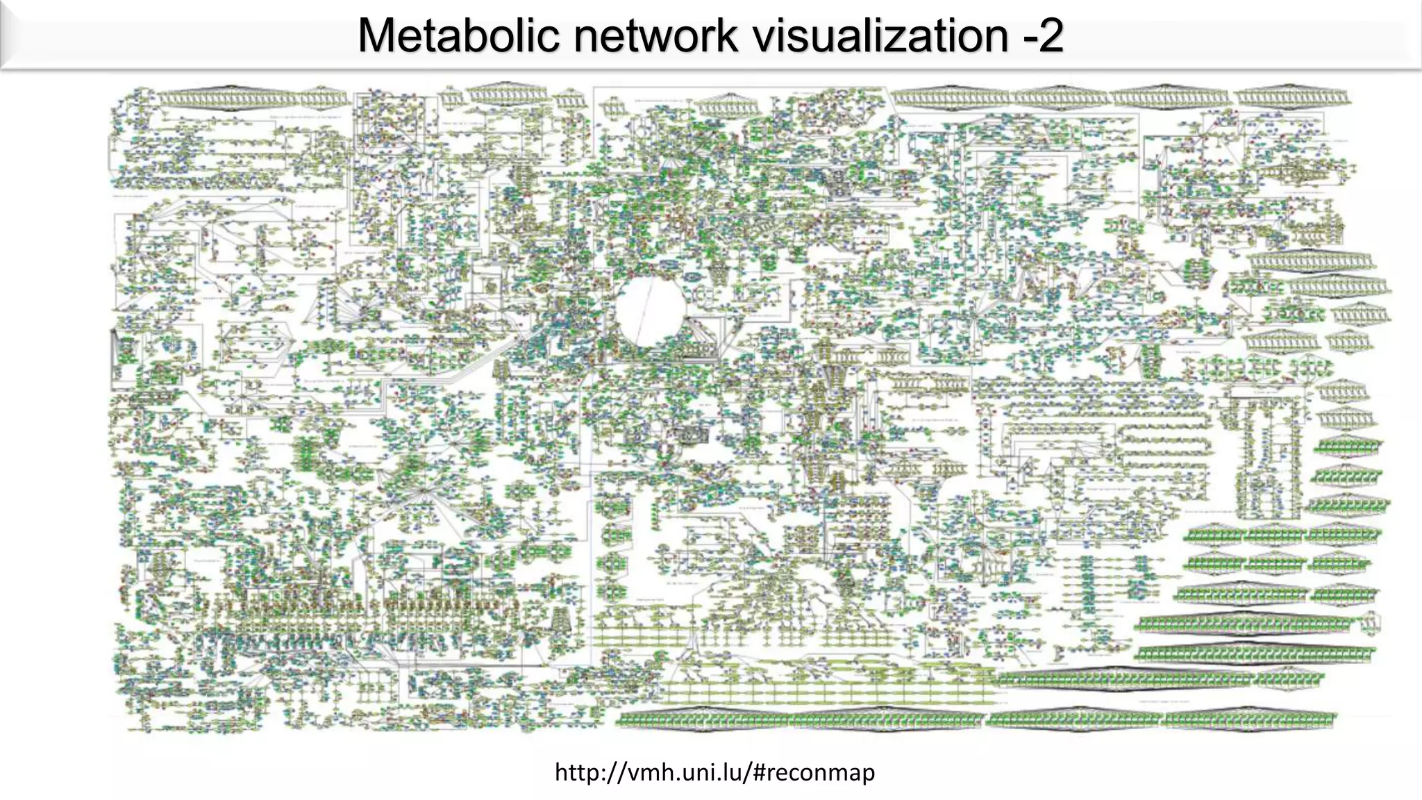 Metabolic network visualization -2
http://vmh.uni.lu/#reconmap
 
