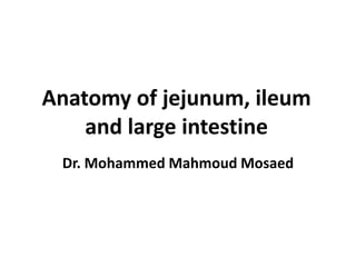Anatomy of jejunum, ileum
and large intestine
Dr. Mohammed Mahmoud Mosaed
 