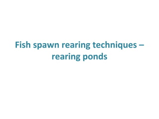Fish spawn rearing techniques –
rearing ponds
 