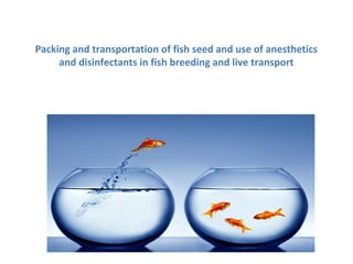 Packing and transportation of fish seed and use of anesthetics
and disinfectants in fish breeding and live transport
 