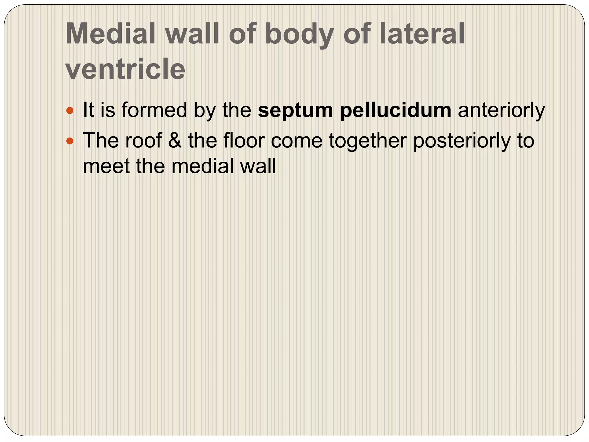 Medial wall of body of lateral
ventricle
 It is formed by the septum pellucidum anteriorly
 The roof & the floor come together posteriorly to
meet the medial wall
 