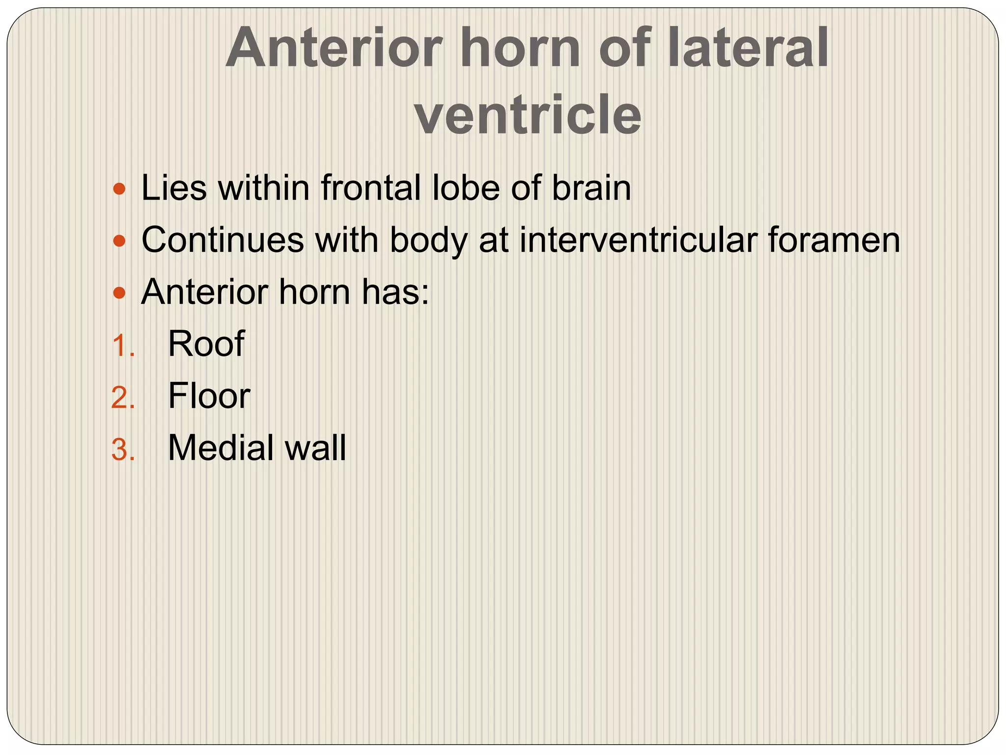 Anterior horn of lateral
ventricle
 Lies within frontal lobe of brain
 Continues with body at interventricular foramen
 Anterior horn has:
1. Roof
2. Floor
3. Medial wall
 