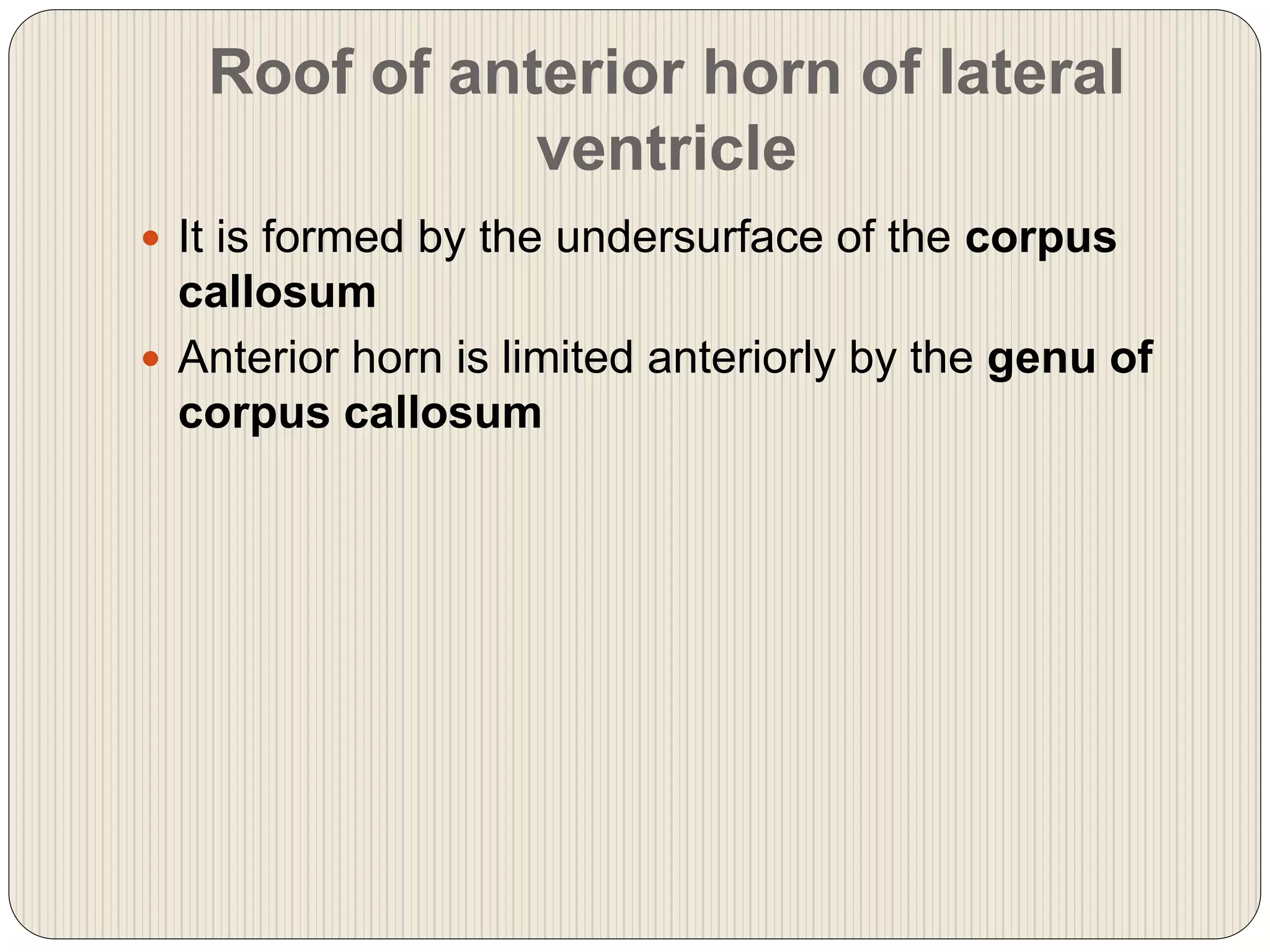 Roof of anterior horn of lateral
ventricle
 It is formed by the undersurface of the corpus
callosum
 Anterior horn is limited anteriorly by the genu of
corpus callosum
 
