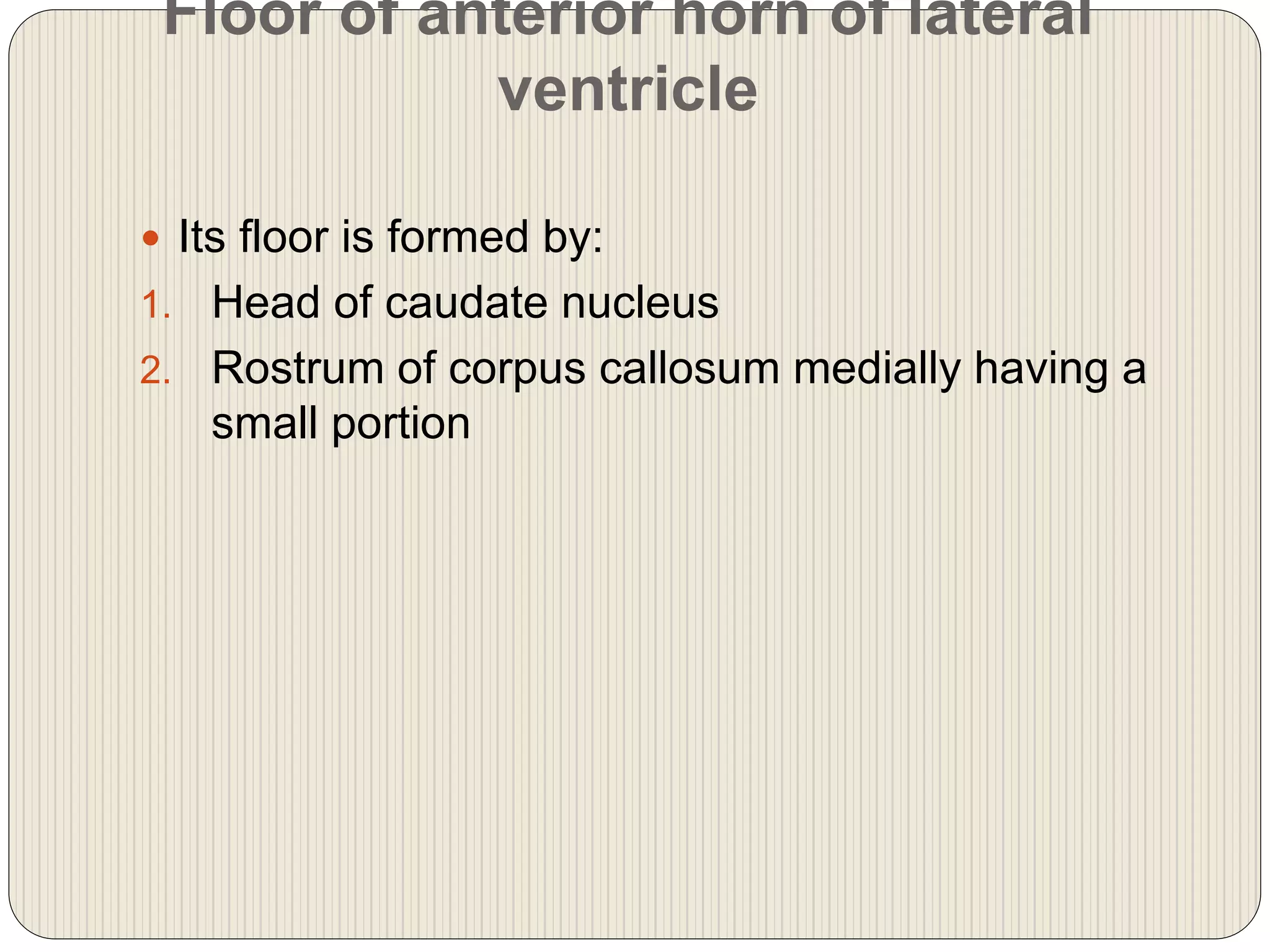 Floor of anterior horn of lateral
ventricle
 Its floor is formed by:
1. Head of caudate nucleus
2. Rostrum of corpus callosum medially having a
small portion
 
