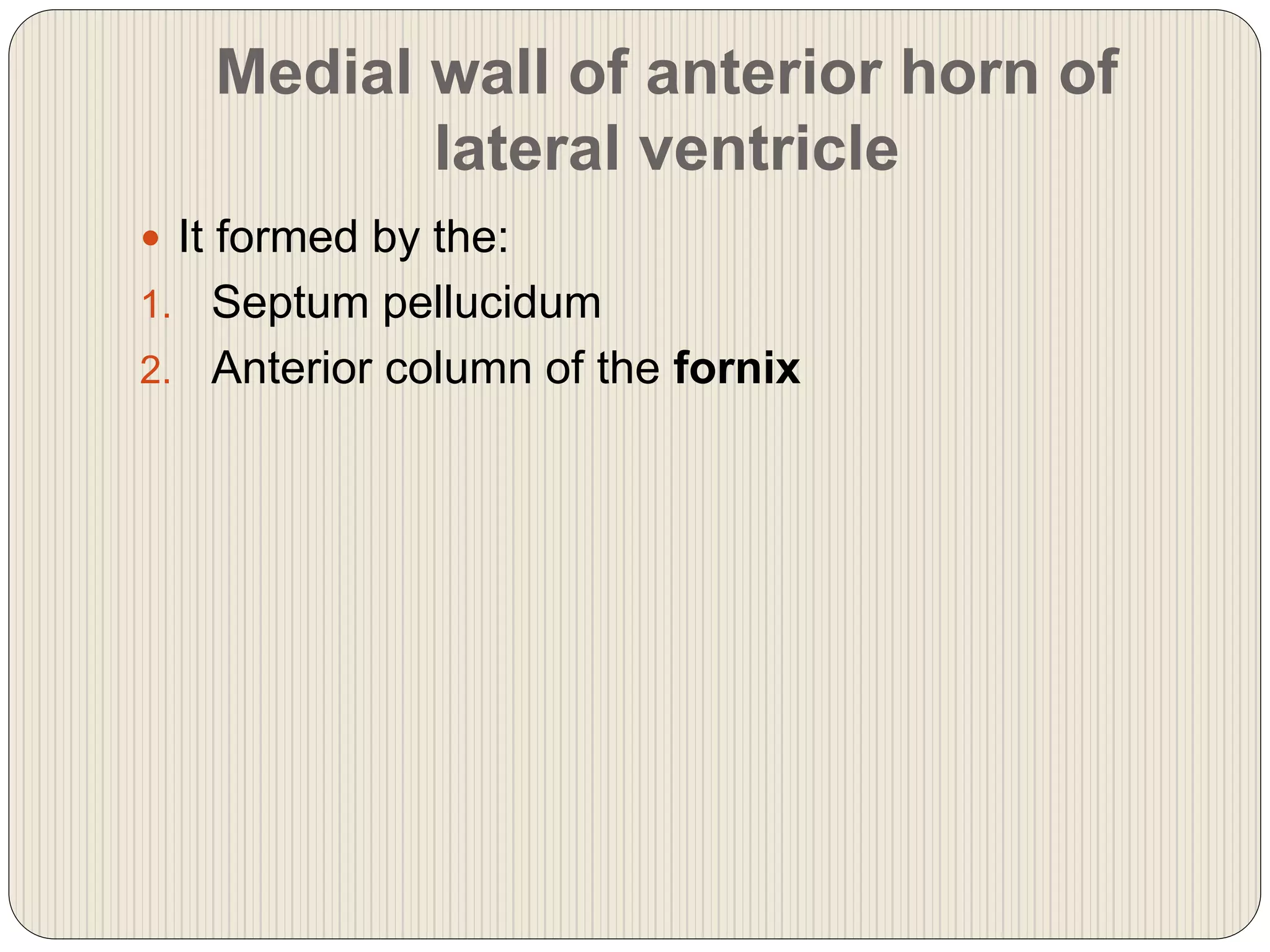 Medial wall of anterior horn of
lateral ventricle
 It formed by the:
1. Septum pellucidum
2. Anterior column of the fornix
 