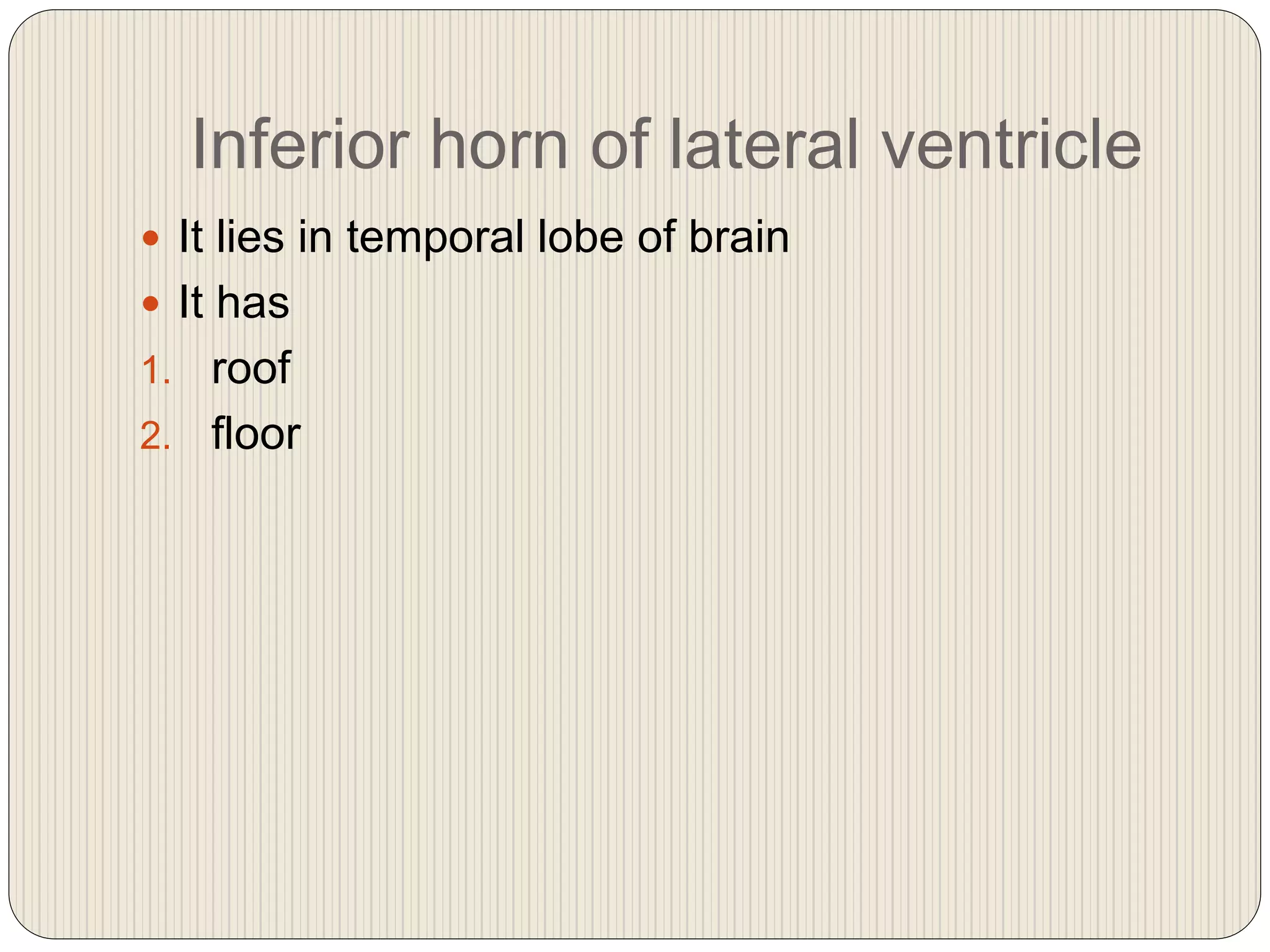 Inferior horn of lateral ventricle
 It lies in temporal lobe of brain
 It has
1. roof
2. floor
 
