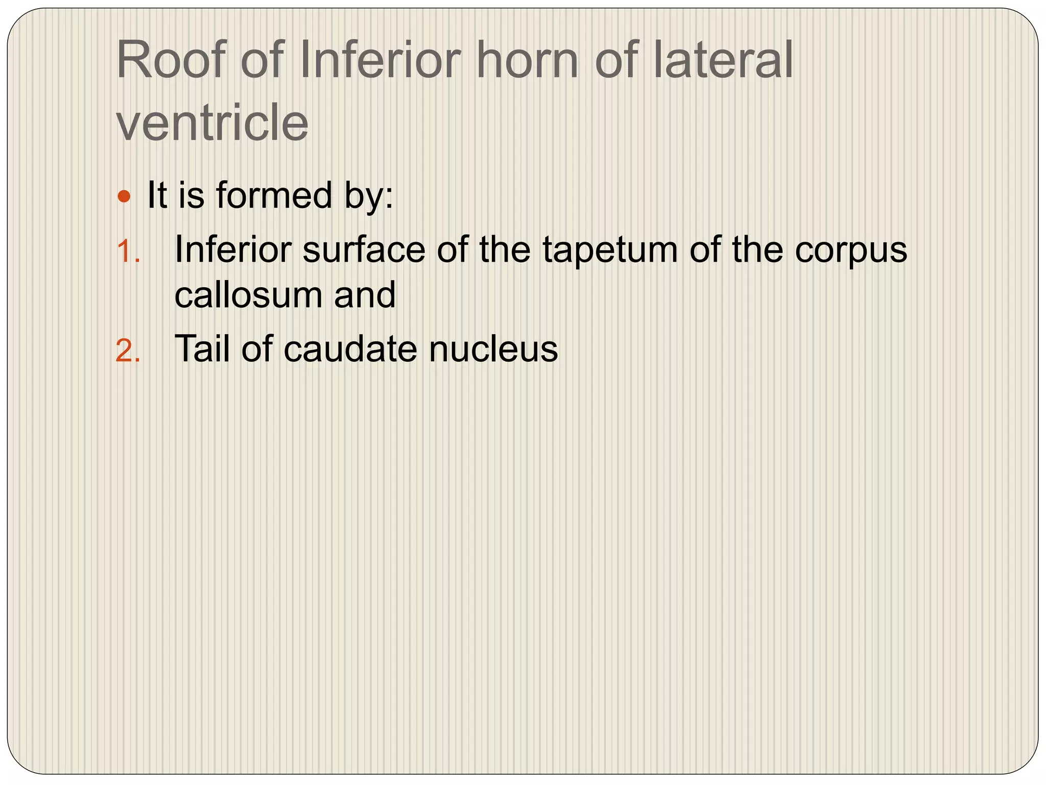Roof of Inferior horn of lateral
ventricle
 It is formed by:
1. Inferior surface of the tapetum of the corpus
callosum and
2. Tail of caudate nucleus
 