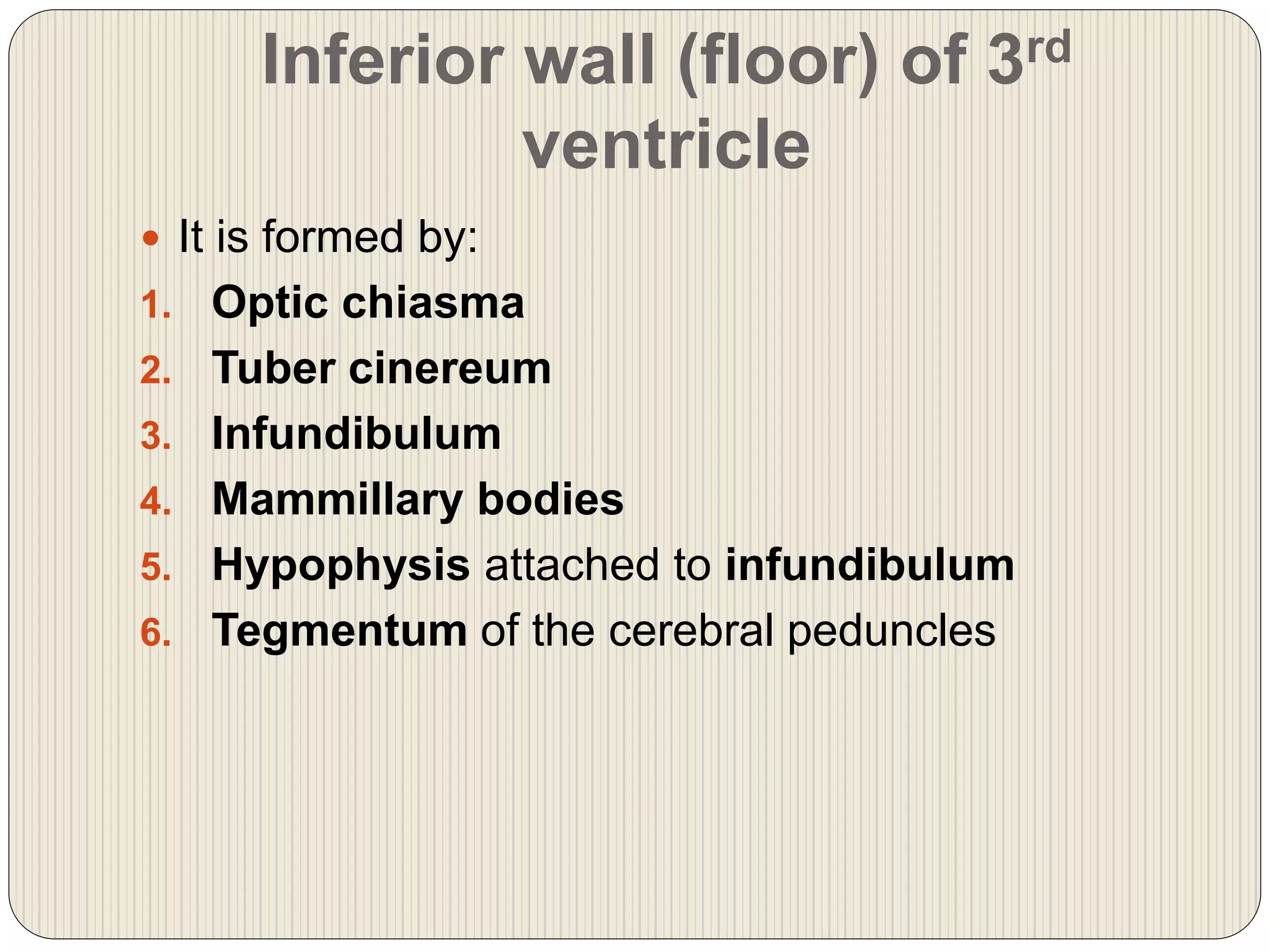 Inferior wall (floor) of 3rd
ventricle
 It is formed by:
1. Optic chiasma
2. Tuber cinereum
3. Infundibulum
4. Mammillary bodies
5. Hypophysis attached to infundibulum
6. Tegmentum of the cerebral peduncles
 