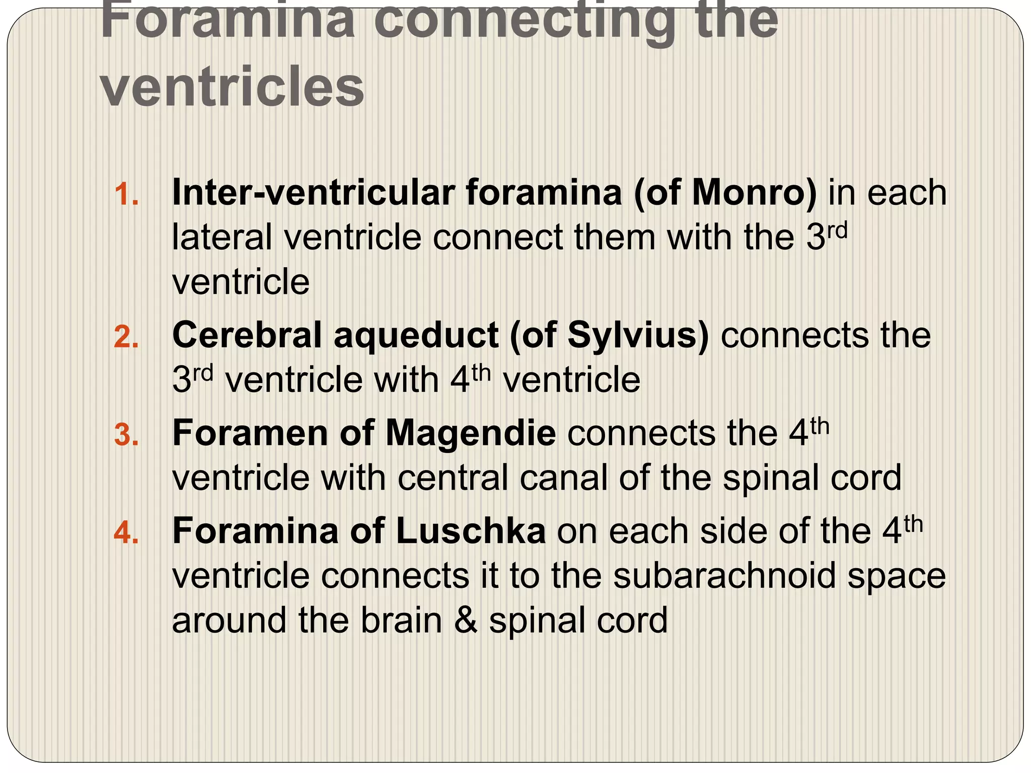 Foramina connecting the
ventricles
1. Inter-ventricular foramina (of Monro) in each
lateral ventricle connect them with the 3rd
ventricle
2. Cerebral aqueduct (of Sylvius) connects the
3rd ventricle with 4th ventricle
3. Foramen of Magendie connects the 4th
ventricle with central canal of the spinal cord
4. Foramina of Luschka on each side of the 4th
ventricle connects it to the subarachnoid space
around the brain & spinal cord
 