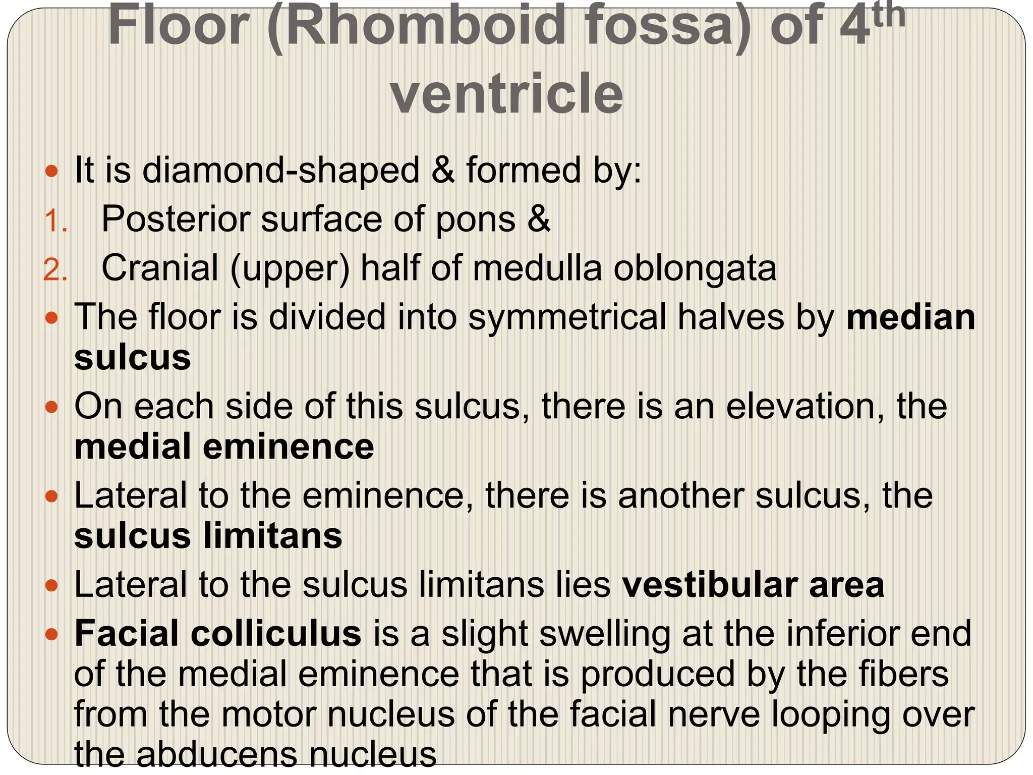 Floor (Rhomboid fossa) of 4th
ventricle
 It is diamond-shaped & formed by:
1. Posterior surface of pons &
2. Cranial (upper) half of medulla oblongata
 The floor is divided into symmetrical halves by median
sulcus
 On each side of this sulcus, there is an elevation, the
medial eminence
 Lateral to the eminence, there is another sulcus, the
sulcus limitans
 Lateral to the sulcus limitans lies vestibular area
 Facial colliculus is a slight swelling at the inferior end
of the medial eminence that is produced by the fibers
from the motor nucleus of the facial nerve looping over
the abducens nucleus
 
