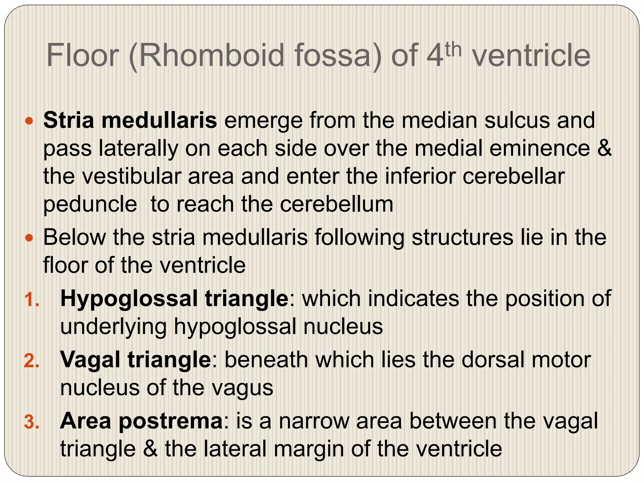 Floor (Rhomboid fossa) of 4th ventricle
 Stria medullaris emerge from the median sulcus and
pass laterally on each side over the medial eminence &
the vestibular area and enter the inferior cerebellar
peduncle to reach the cerebellum
 Below the stria medullaris following structures lie in the
floor of the ventricle
1. Hypoglossal triangle: which indicates the position of
underlying hypoglossal nucleus
2. Vagal triangle: beneath which lies the dorsal motor
nucleus of the vagus
3. Area postrema: is a narrow area between the vagal
triangle & the lateral margin of the ventricle
 