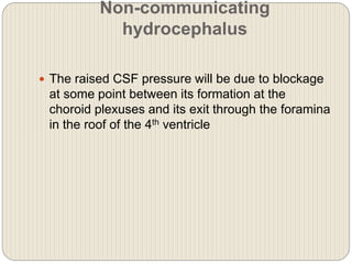 Ventricular system of brain & the CSF | PPTX