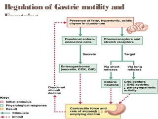 Regulation of Gastric motility and
Emptying
  2 mechanisms inhibit gastric motility, secretion
and duodenal filling:
1. Neural enterogastric reflex
2. Hormonal (enterogastrone) mechanisms.
Dr Phiri S B
 