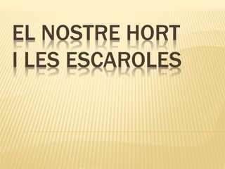 EL NOSTRE HORT
I LES ESCAROLES
 