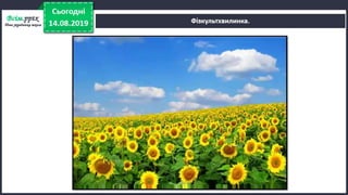 Урок 5 для 1 класу. Я досліджую світ за Н. Бібік - Дорога до школи. Як же безпечно добратись до школи, щоб у біду не потрапить ніколи? Правила безпечного руху