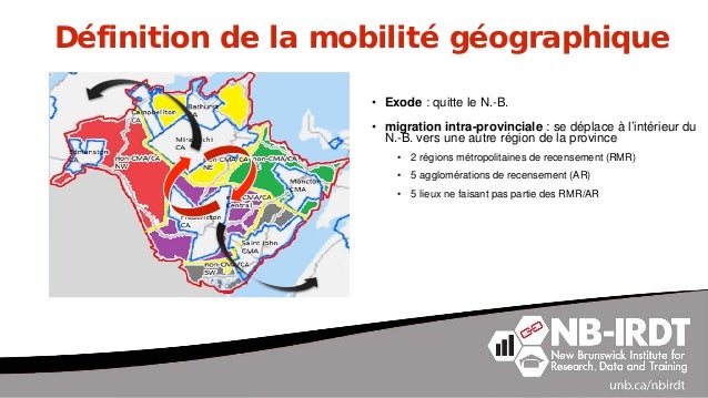 L Effet Du Bilinguisme Officiel Sur La Mobilite Geographique Des Neo