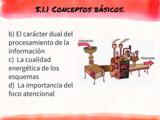 b) El carácter dual del
procesamiento de la
información
c) La cualidad
energética de los
esquemas
d) La importancia del
foco atencional
5.1.1 Conceptos básicos.
 