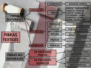 FIBRAS
NATURALES
FIBRAS NO
NATURALES
ANIMALES
VEGETALES
MINERALES
GLÁNDULAS
PELOS
GUSANOS, ARAÑAS
ALPACA, ANGORA, BUEY,
CABALLO, CONEJO,
CASTOR, CAMELLO,
CACHEMIRA, CABRA,
GUANACO, LLAMA,
NUTRIA, VICUÑA, YAK
SEMILLAS
TALLOS
HOJAS
ALGODÓN
YUTE, LINO, CÁÑAMO
FRUTOS
SISAL
COCO
ASBESTO (AMIANTO)PIEDRAS
DE PROCESOS
FÍSICOS
DE PROCESOS
QUÍMICOS
PAPEL, METALES, VIDRIO
DE POLÍMEROS NATURALES
FIBRAS ARTIFICIALES
DE POLÍMEROS SINTÉTICOS
FIBRAS SINTÉTICAS
FIBRAS
TEXTILES
 
