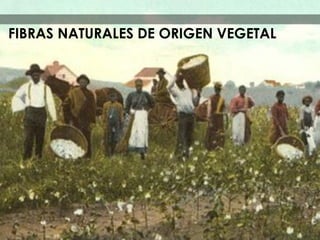 FIBRAS NATURALES DE ORIGEN VEGETAL
 