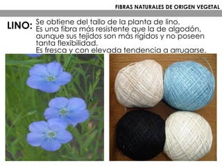 Se obtiene del tallo de la planta de lino.
Es una fibra más resistente que la de algodón,
aunque sus tejidos son más rígidos y no poseen
tanta flexibilidad.
Es fresca y con elevada tendencia a arrugarse.
FIBRAS NATURALES DE ORIGEN VEGETAL
LINO:
 