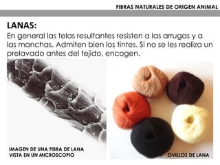 En general las telas resultantes resisten a las arrugas y a
las manchas. Admiten bien los tintes. Si no se les realiza un
prelavado antes del tejido, encogen.
IMAGEN DE UNA FIBRA DE LANA
VISTA EN UN MICROSCOPIO OVILLOS DE LANA
FIBRAS NATURALES DE ORIGEN ANIMAL
LANAS:
 