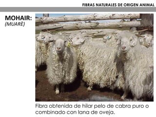 Fibra obtenida de hilar pelo de cabra puro o
combinado con lana de oveja.
FIBRAS NATURALES DE ORIGEN ANIMAL
MOHAIR:
(MUARÈ)
 
