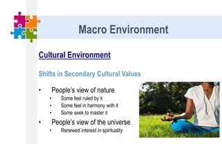 Cultural Environment
Shifts in Secondary Cultural Values
• People’s view of nature
• Some feel ruled by it
• Some feel in harmony with it
• Some seek to master it
• People’s view of the universe
• Renewed interest in spirituality
Macro Environment
 