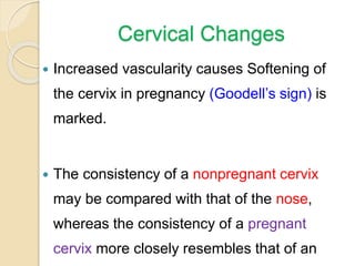 Cervical Changes
 Increased vascularity causes Softening of
the cervix in pregnancy (Goodell’s sign) is
marked.
 The consistency of a nonpregnant cervix
may be compared with that of the nose,
whereas the consistency of a pregnant
cervix more closely resembles that of an
 