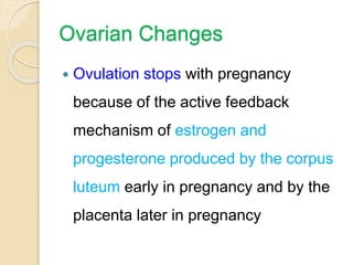 Ovarian Changes
 Ovulation stops with pregnancy
because of the active feedback
mechanism of estrogen and
progesterone produced by the corpus
luteum early in pregnancy and by the
placenta later in pregnancy
 