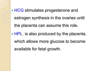  HCG stimulates progesterone and
estrogen synthesis in the ovaries until
the placenta can assume this role.
 HPL, is also produced by the placenta.
which allows more glucose to become
available for fetal growth.
 